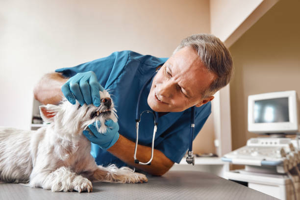 Best Emergency Root Canal Treatment in Ganado, TX
